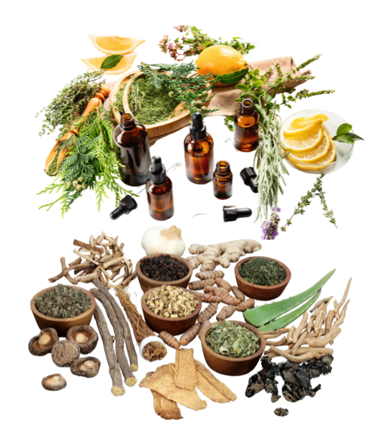 تصميم بدون عنوان (9)